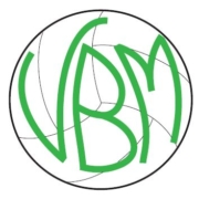 VBM Volley Bienate Magnago